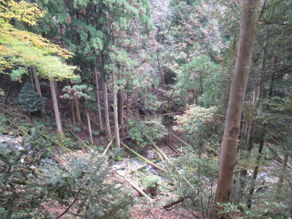 画像48